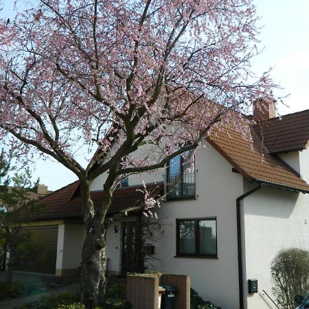 Ferienwohnung Kiko Zornheim Exteriér fotografie