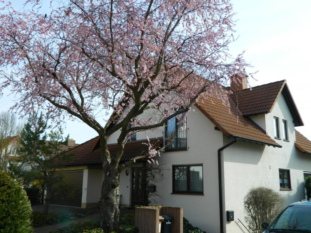 Ferienwohnung Kiko Zornheim Exteriér fotografie